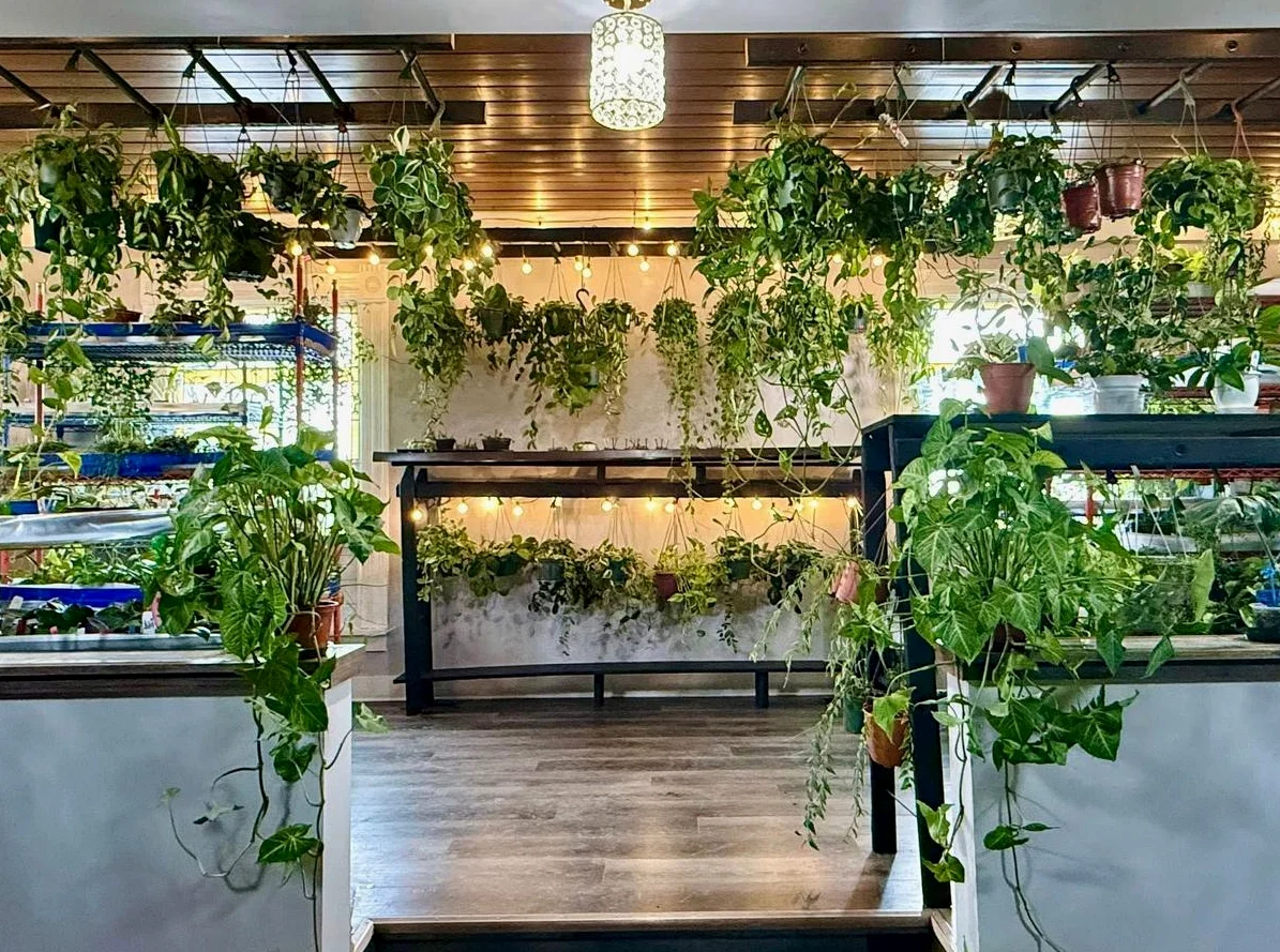 Crazy Plant Gal Opens in 1870s Cedar Rapids Mansion