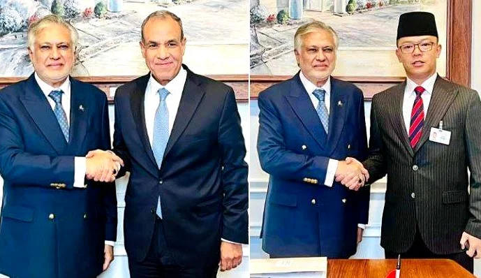 Pakistan's Ishaq Dar meets Indonesia, Egypt at UNSC on Gaza crisis