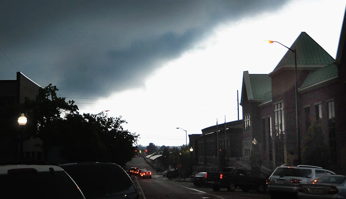 Debrigarh’s 2nd Indian Bison Fest Attracts 600 Attendees, Highlights Conservation Efforts