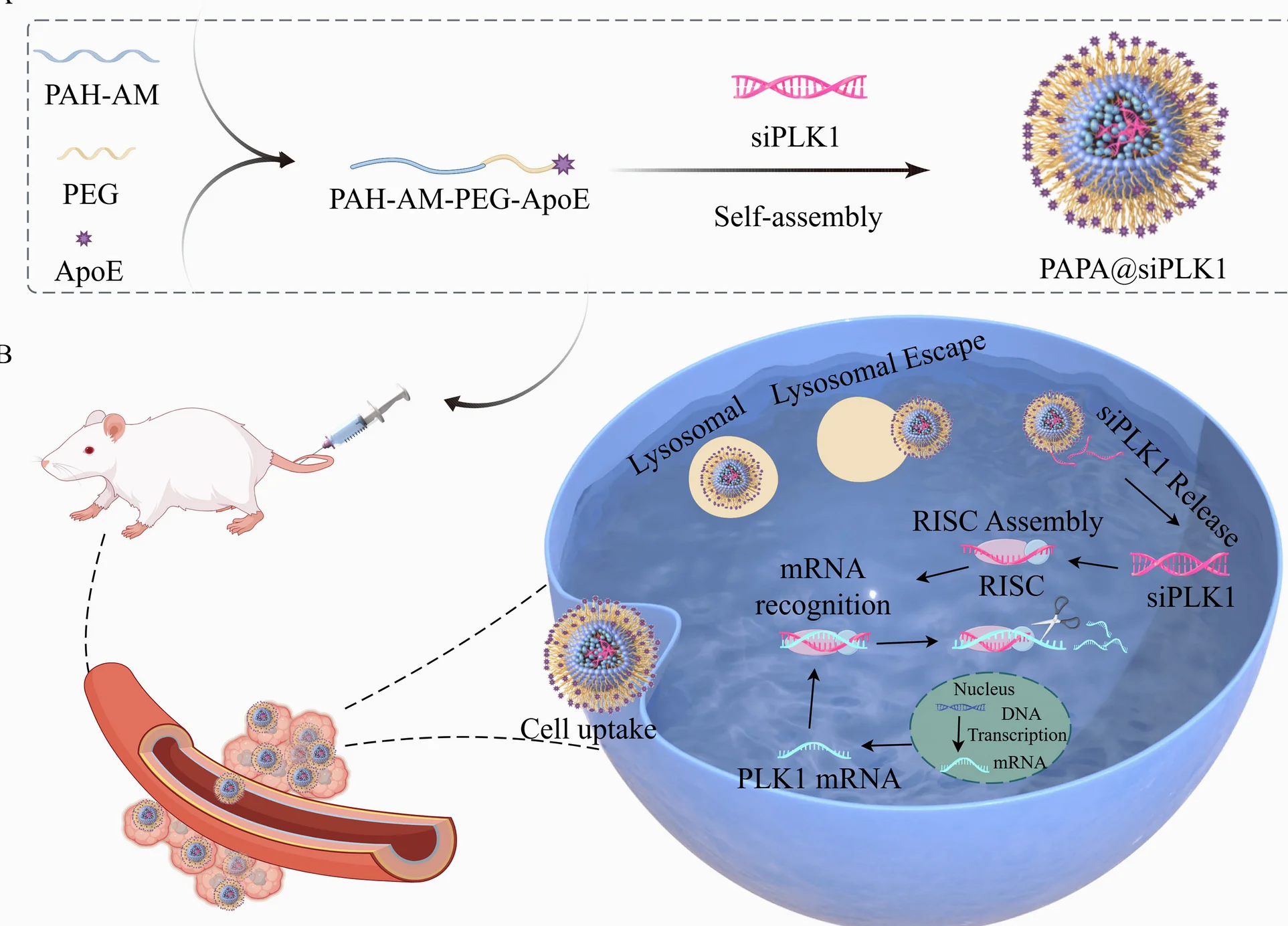 New Nanocarrier Suppresses Glioma Using PLK1 siRNA Delivery