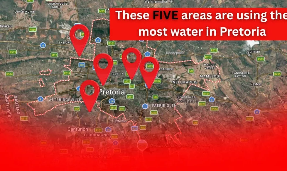 Debrigarh’s 2nd Indian Bison Fest Attracts 600 Attendees, Highlights Conservation Efforts