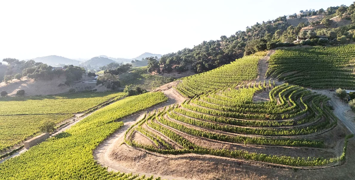 Shafer Vineyards Pioneered Napa Hillside Planting