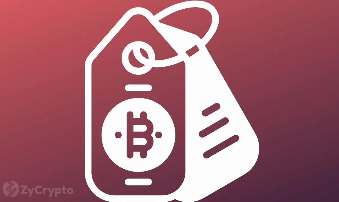 Google 'Bitcoin is Dead' Searches Hit Record High Amid Price Dip