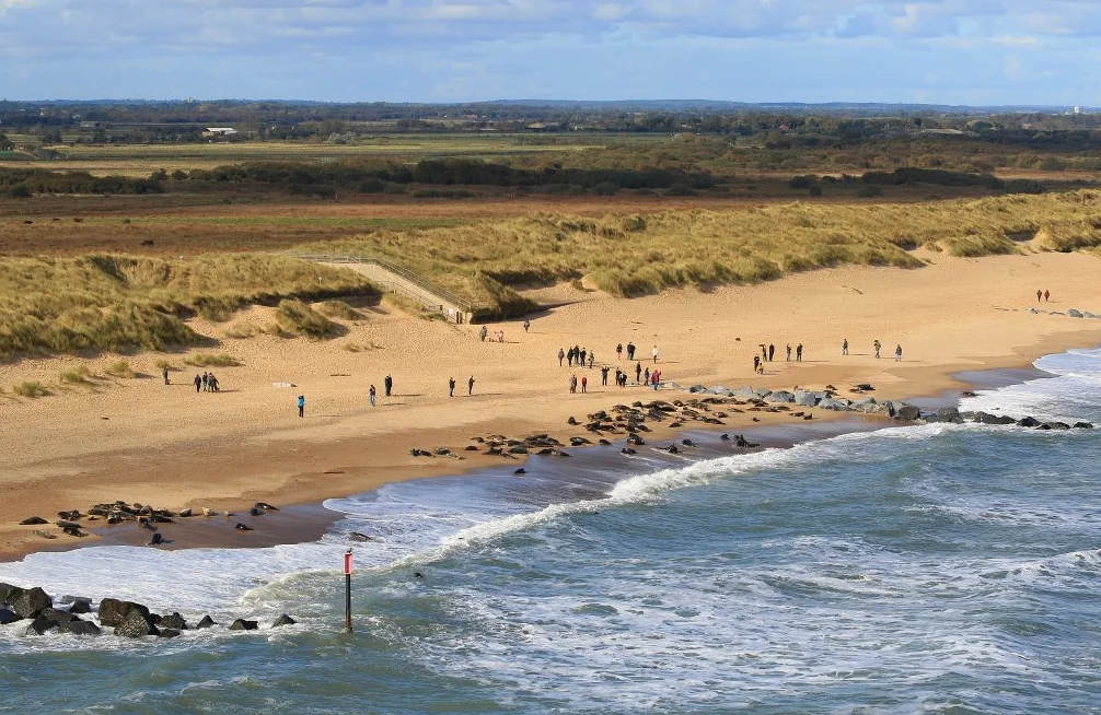 Horsey Beach Ranks 13th in Europe on Tripadvisor's 2026 List