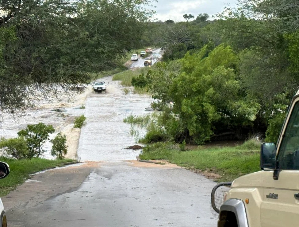 Delegación parlamentaria urge reubicación ante inundaciones en Sudáfrica