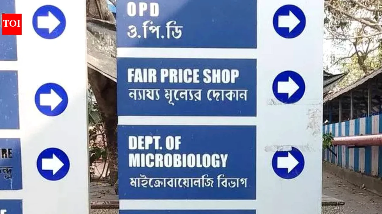 Kolkata Colleges, Hospitals Urge KMC to Remove Stray Dogs After SC Order