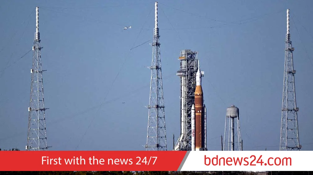 Cornwall, el mayor productor mundial de bulbos de amarilis