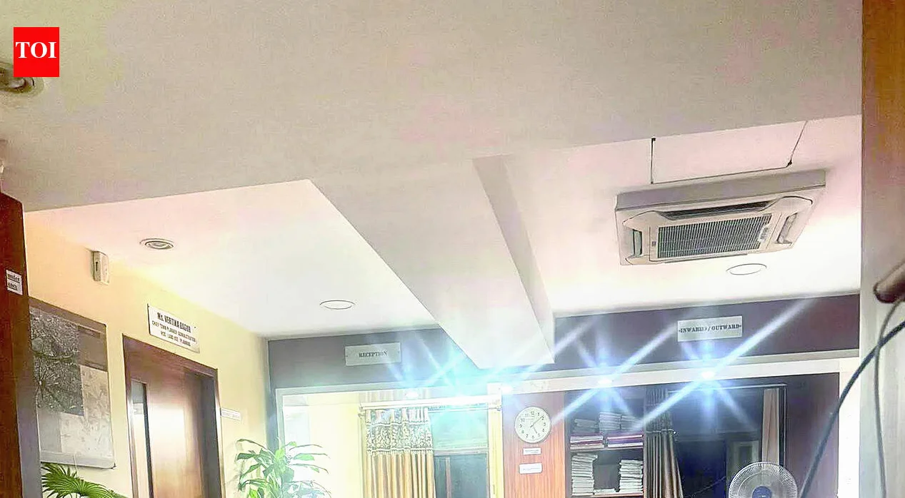 Rane droht mit 45.000 Demonstranten aus Sattari