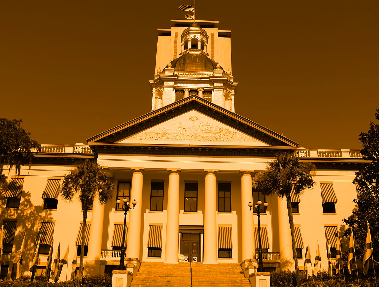 Florida Politics: New College, Pediatric Care, and Legislative Events