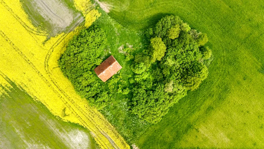 Alleged Rape: Neo Akpofure Gives Arikan Udoka 48hours To Apologise, Retract Post – Celebrities – Nigeria