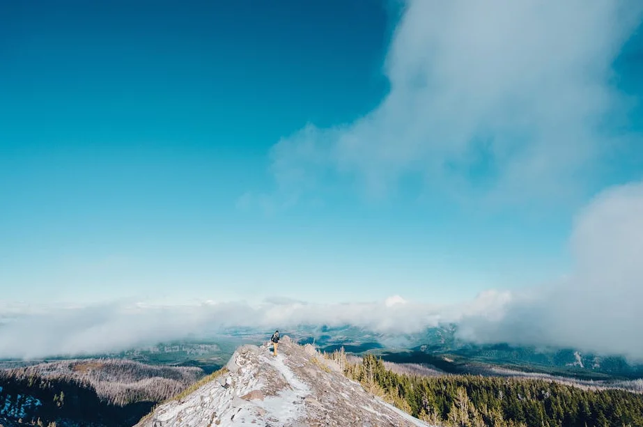 생물학: 생명의 경이로운 여정