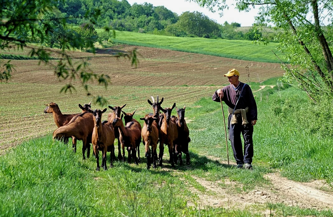 グラミン・ダク・セヴァーは農村インドの柱：ユニオン・ミニスター・スクリンディア