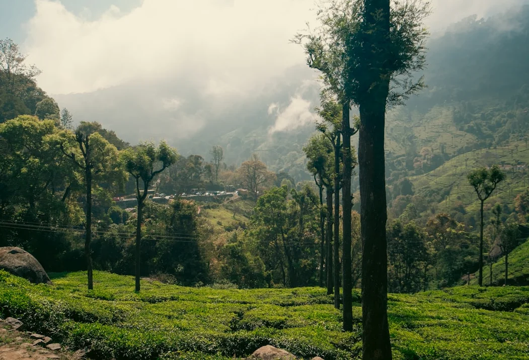 Six Senses Vana: Geheimste Wellness-Oase Indiens in Dehradun