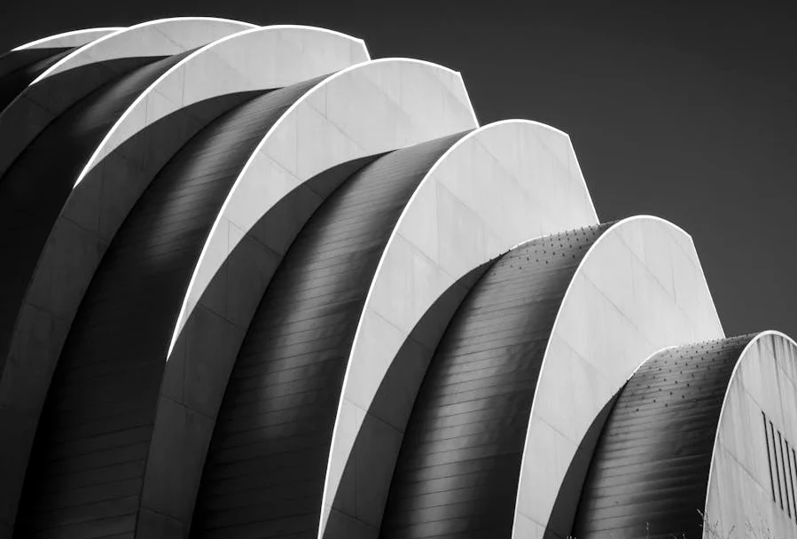 케이스 시티 체iefs의 라시 리스, 가정 폭력 혐의로 소송 당해