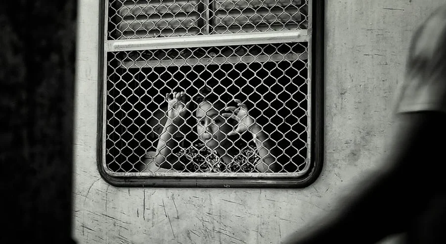 Detención injusta en Minnesota: Caso inusual de Sebastian