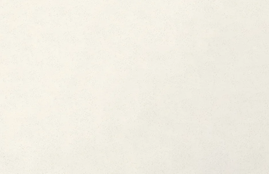 Mondottica distribuirá gafas de Off-White y Palm Angels en España y Portugal con socio local