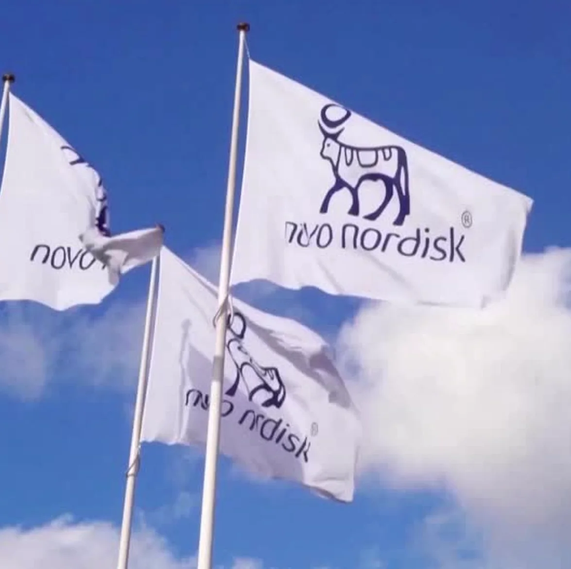 Novo Nordisk's CagriSema Trails Eli Lilly's Tirzepatide in Obesity Drug Trial