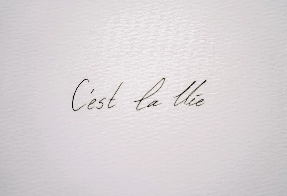 Over 100 Shipowners Vie For $700m Cabotage Fund – Daily Trust