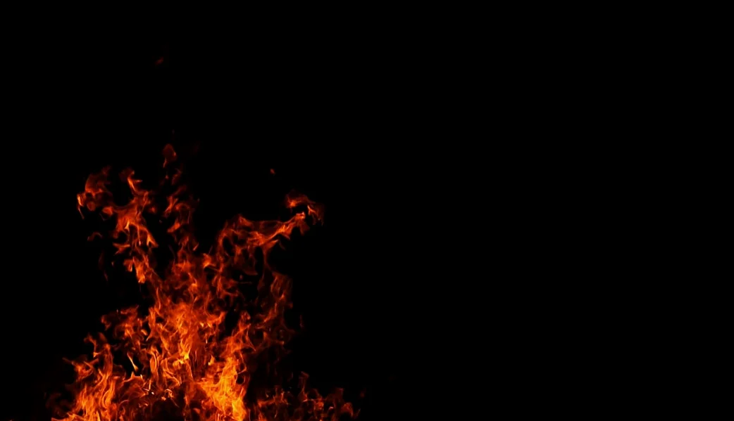 Robert Carradine, actor de 'Revenge of the Nerds', fallece a los 71 años