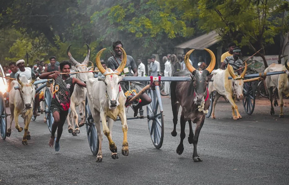 「盲目の側」の共演者クイントン・アーコン、脊髄脳卒中後も意識は明晰