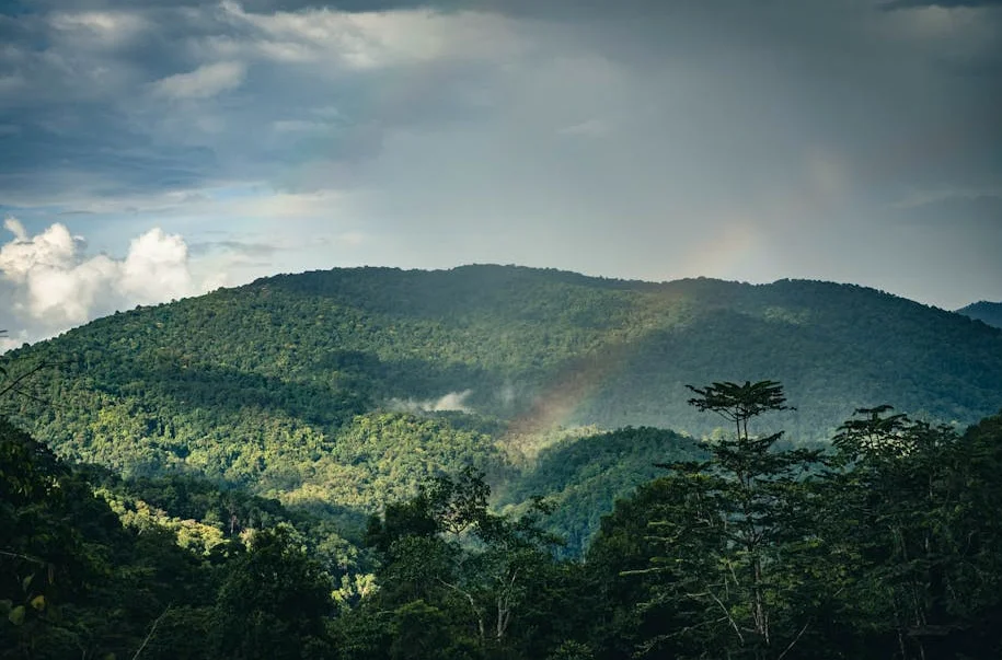 SaS: EU Sanctions Ban Transit of Russian Oil by Sea (2)