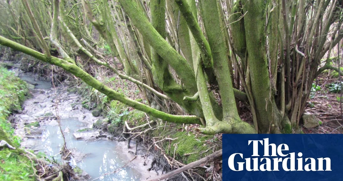 Yorkshire Water multado con más de 700 000 libras por escapes de aguas residuales