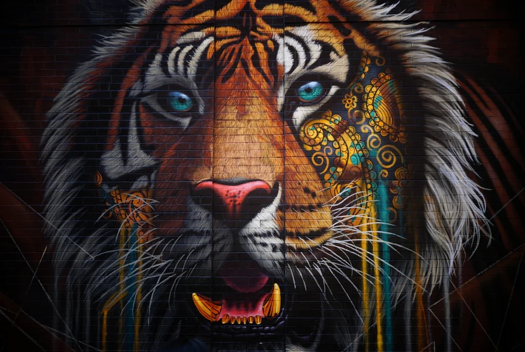 Sri Lankan Army’s Account of Prabhakaran’s Death Faces Scrutiny