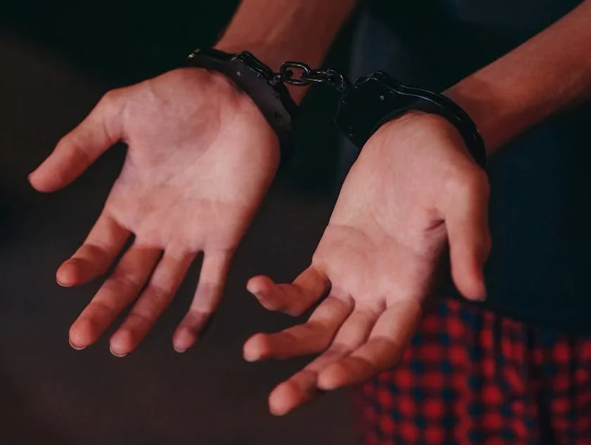 ニジェール、全国的な取締りで武装勢力17人を撃破、33人を逮捕