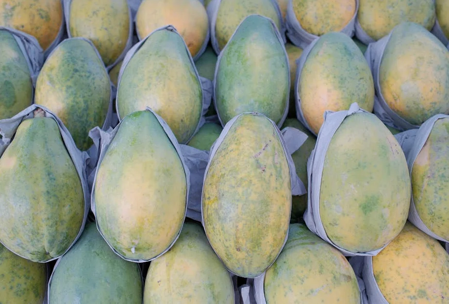 Printable Enzyme Ink Powers Next-Generation Wearable Biosensors