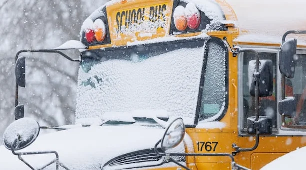 Several southern Manitoba schools closed, buses cancelled for 2nd day | CBC News