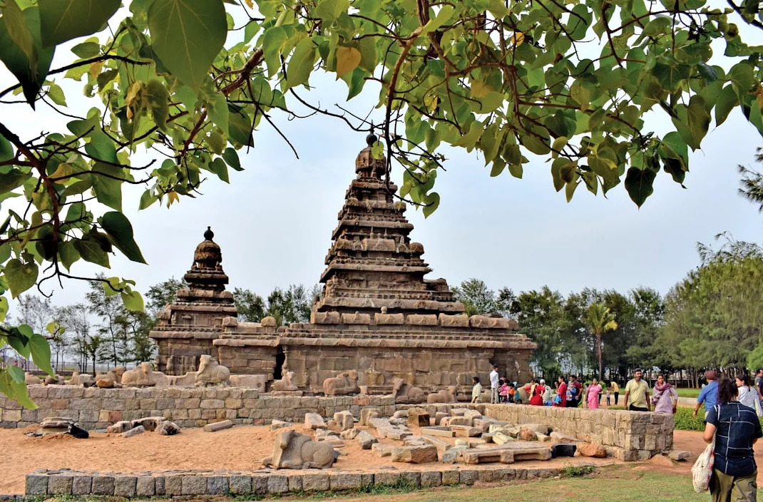 Tamil Nadu native Rini Sampath running for Washington mayor