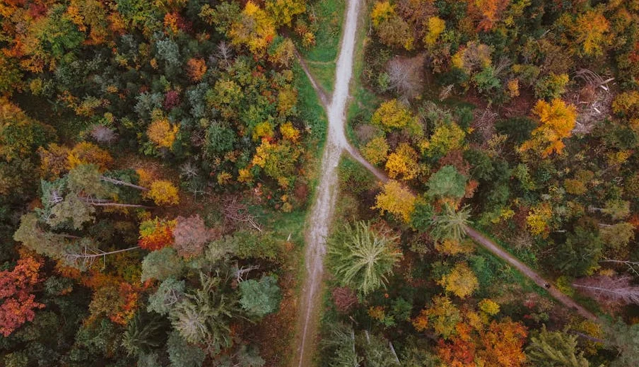 Munich Security Conference Marks Shift in US-EU Relations and Geopolitical Strategy