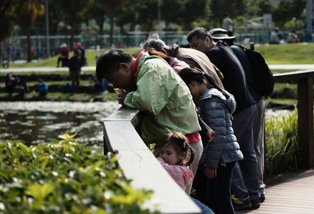 SA: Season of despair awaits ‘illegal’ immigrants in 2024