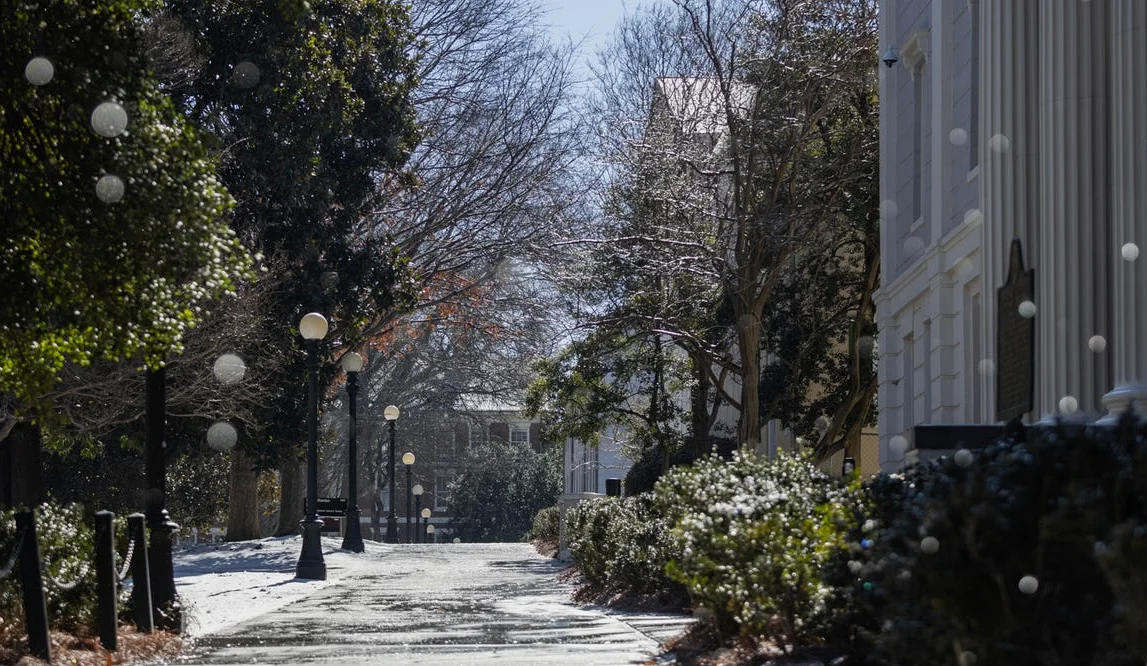 UGA removes instructor amid allegations. How the university responded