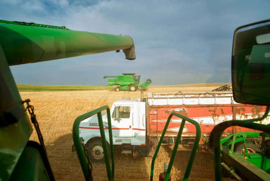 US Soybean Oil Prices Rise 3.73% in January 2026, as Healthy Exports Persist