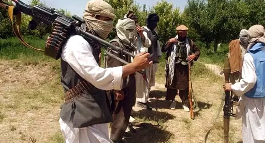 TTP Resurgence Threatens Pakistan Amid Border Tensions