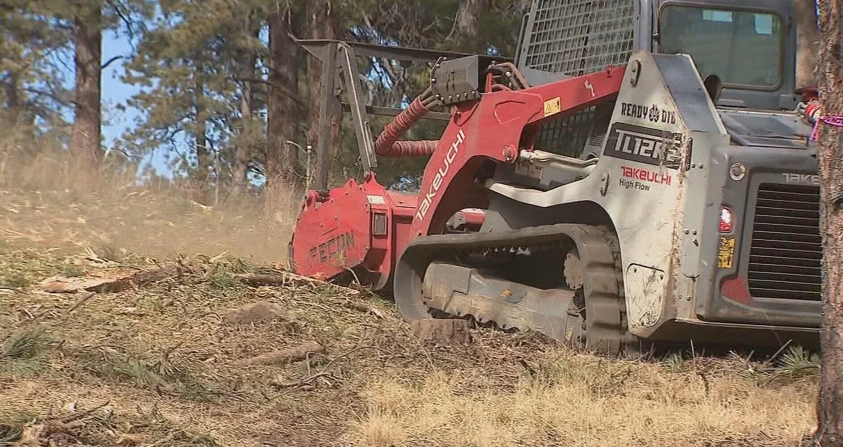 Colorado Foothills Brush Piles Await Burning Amid Record-Low Snowpack