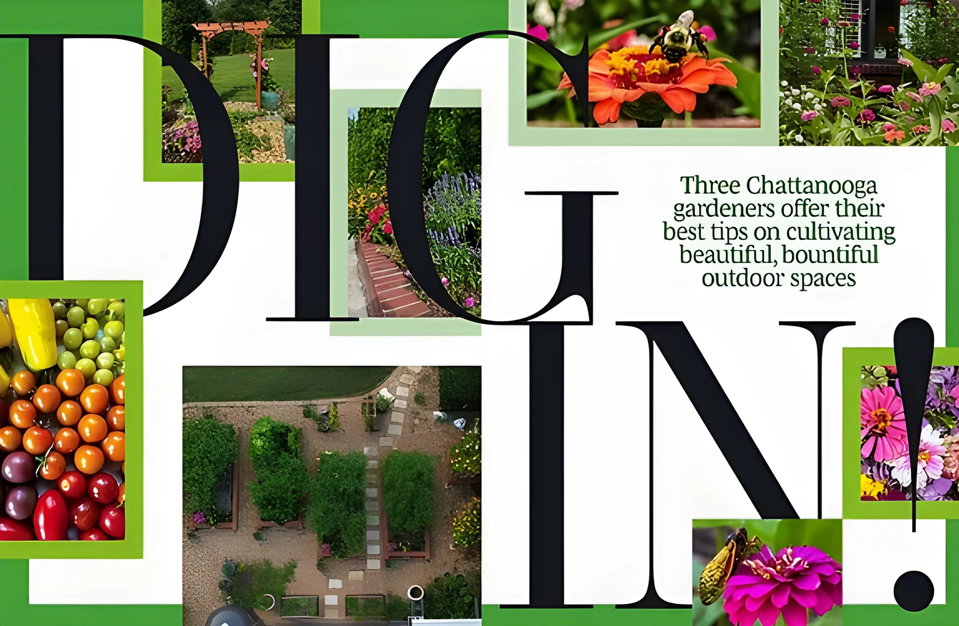 Chattanooga Gardeners Share Tips for Creating Vibrant Outdoor Spaces