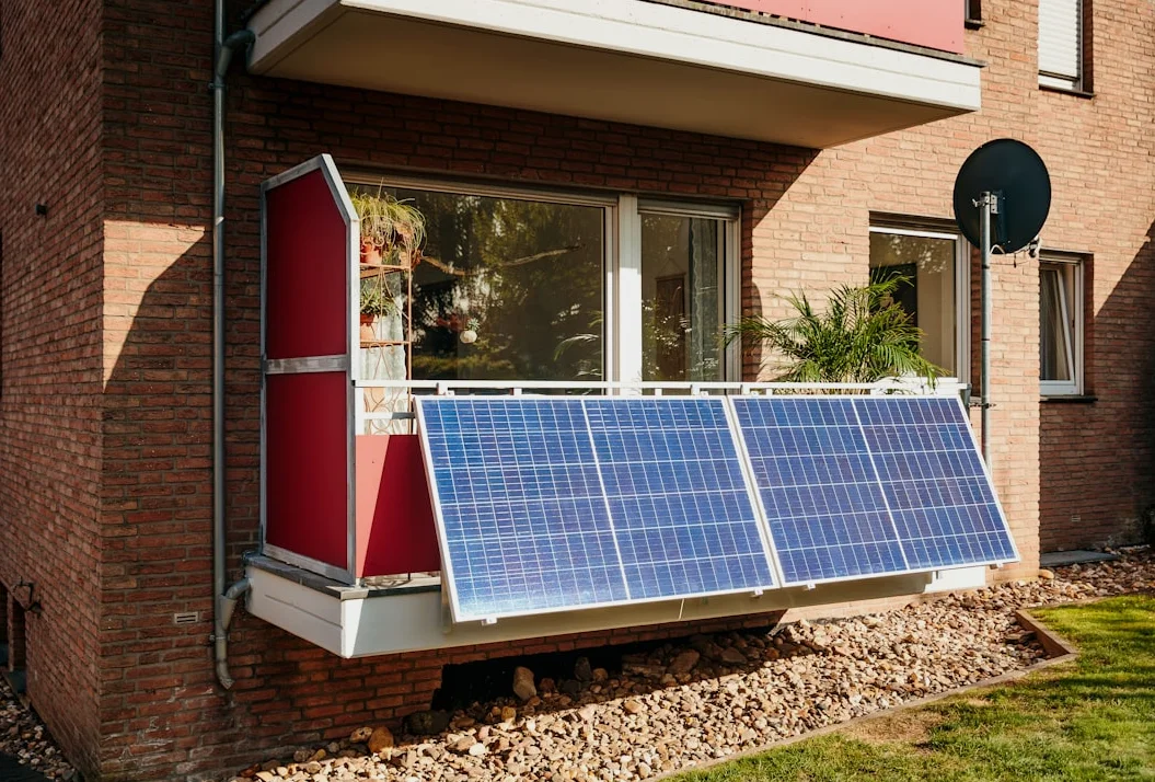 태양광의 새 친구들: MAGA 인플루언서들