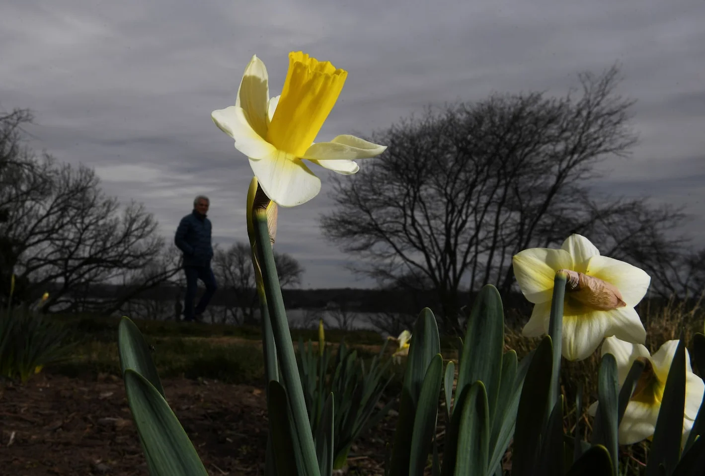 D.C. Weather Outlook: Warmer March Ahead, But Winter Isn’t Done