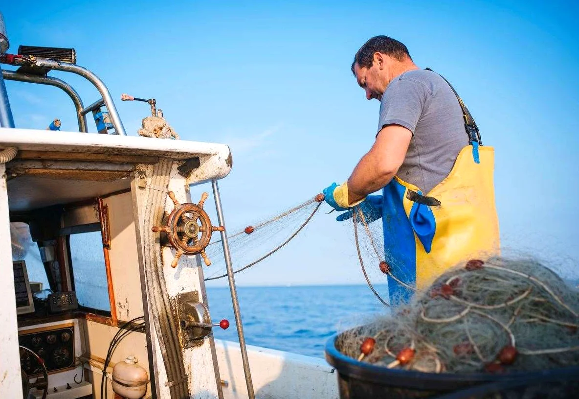 Kinlochbervie Harbour Surpasses National Trends in Scottish Fishing Industry