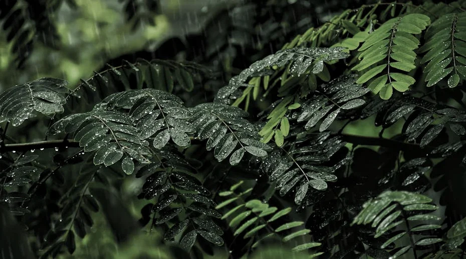 Schülerbus-Angriff in Meerut: 15-Jähriger wird attackiert, andere Schüleer unter Waffen