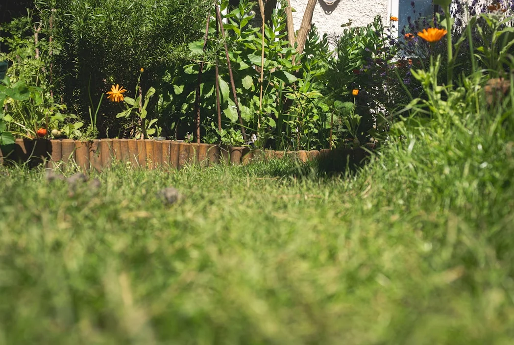 Cómo cultivar tu propia comida en un jardín de verduras en tu patio