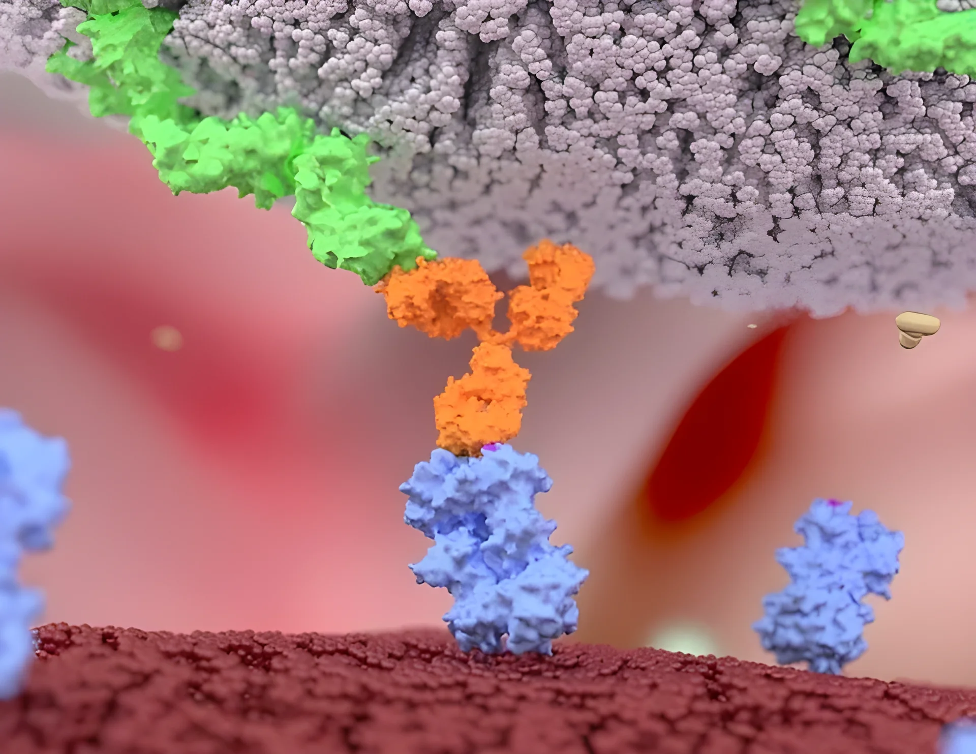 Gut Microbiota Metabolite May Improve Immune Response in Bacterial Pneumonia