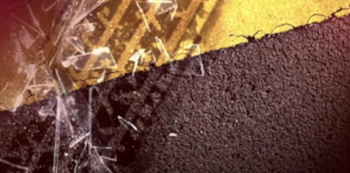 오렌지버그 카운티에서 보행자 사망 교통사고 발생