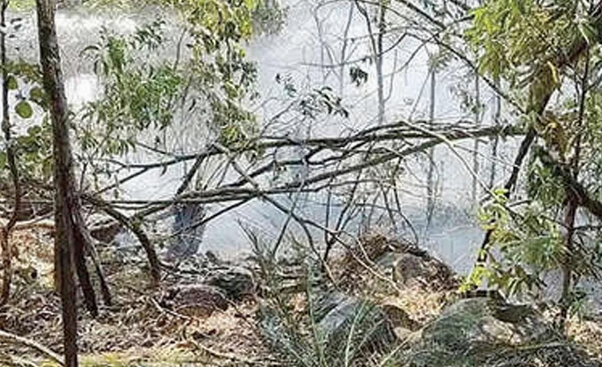 Incendio en las colinas de Seshachalam, autoridades contienen el fuego