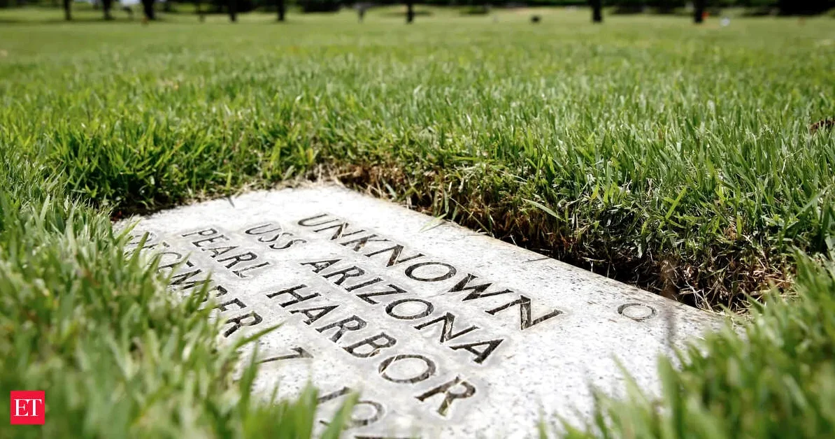 퍼시픽 국가 기념 묘지에서의 유해 확인 작업 시작