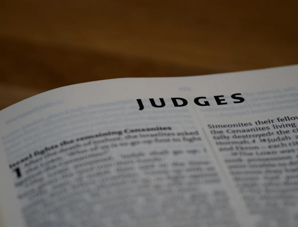 Bundesrichter erkennen langsam, dass sie Trump-Regierung wie jeden anderen behandeln können