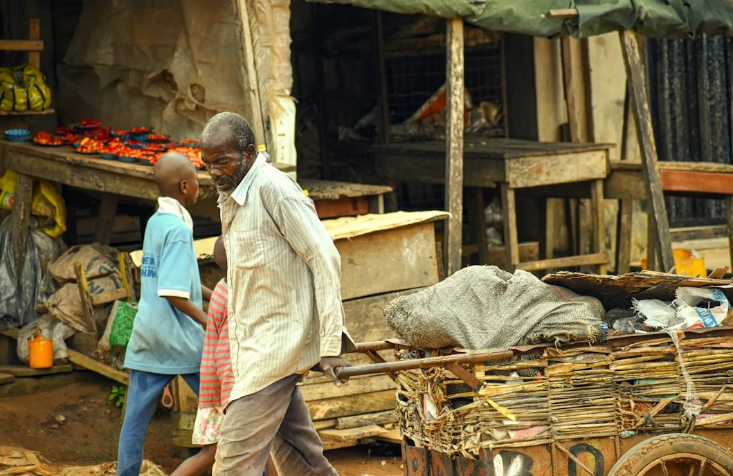 IFP Takes Nongoma, PA Snatches Eastern Cape Ward from ANC in South African Election Shift