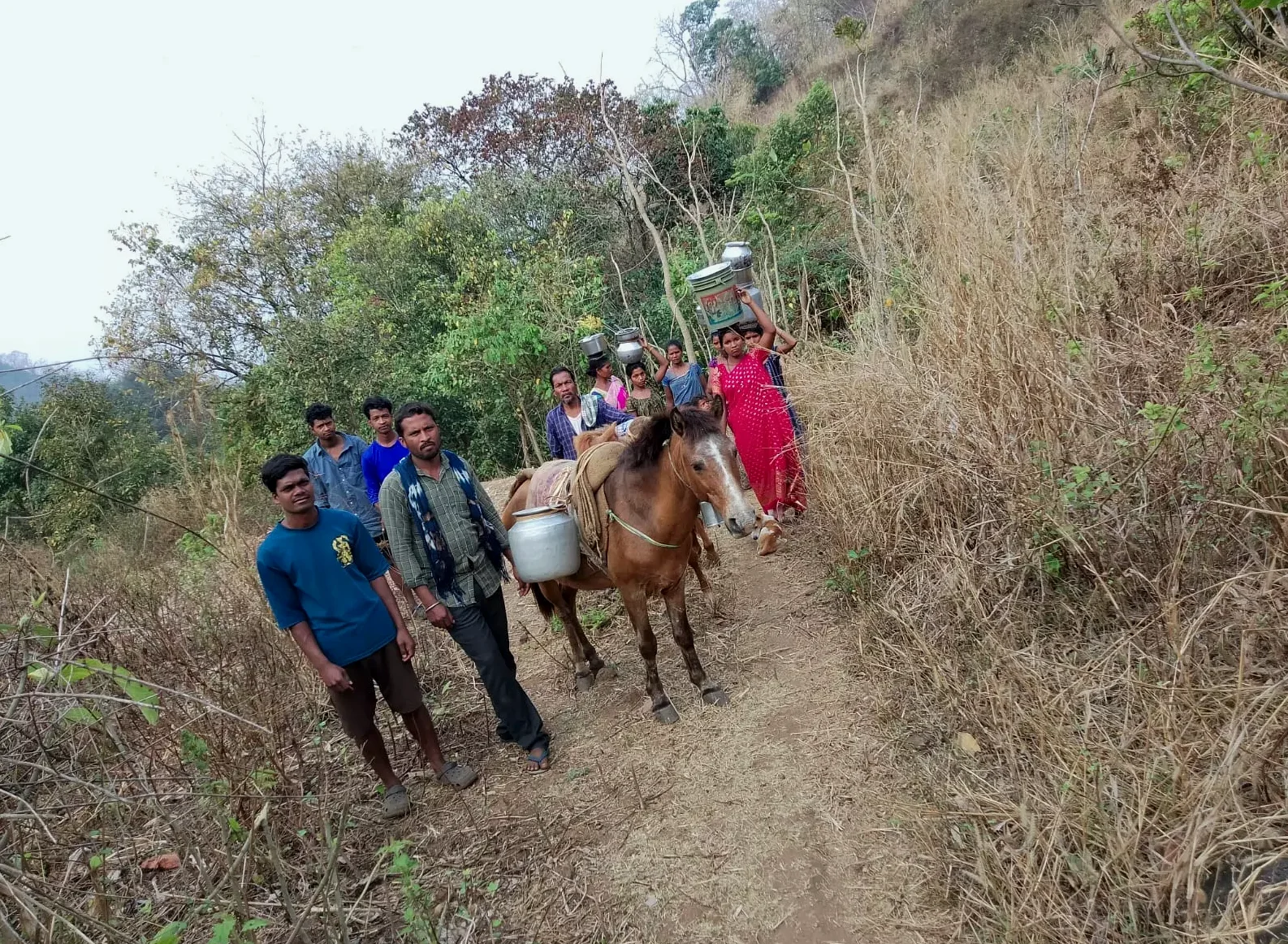 Tribals Ride Horses for Two Kilometres to Fetch Drinking Water in Anakapalle